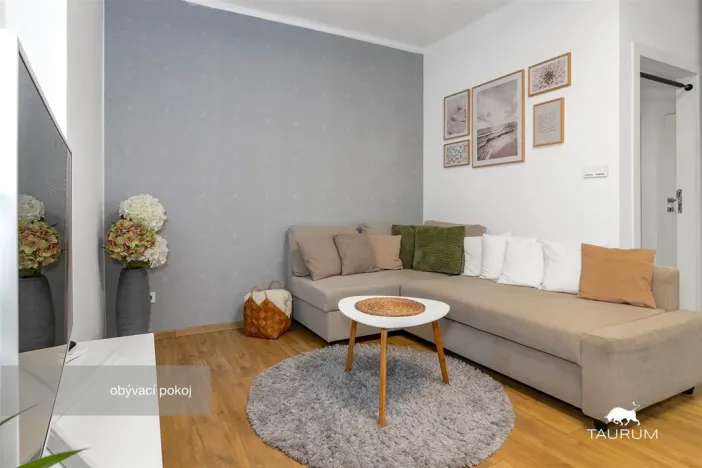 Prodej bytu 2+1, Plzeň - Východní Předměstí, Strnadova, 54 m2