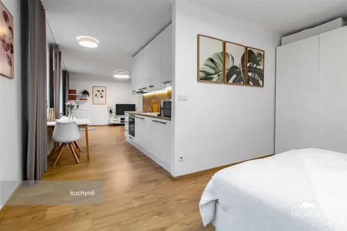 Prodej bytu 2+1, Plzeň - Východní Předměstí, Strnadova, 54 m2