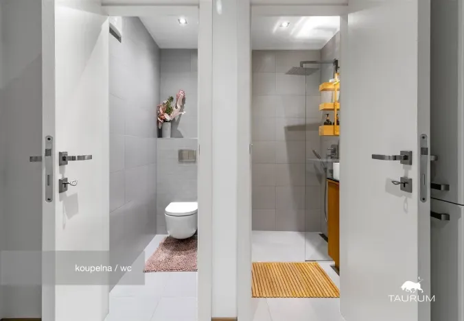 Prodej bytu 2+1, Plzeň - Východní Předměstí, Strnadova, 54 m2