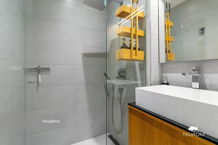 Prodej bytu 2+1, Plzeň - Východní Předměstí, Strnadova, 54 m2