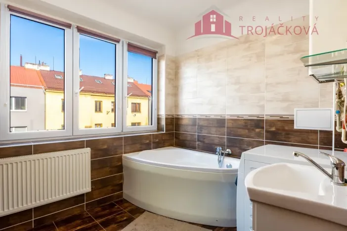 Prodej bytu 1+1, Ostrava - Mariánské Hory, 28. října, 48 m2