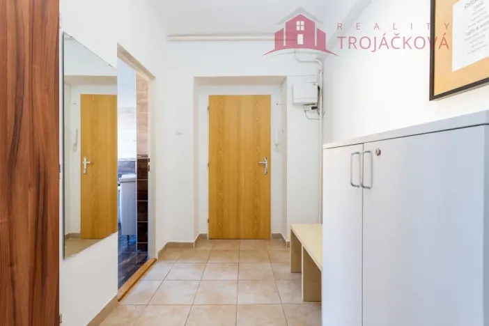 Prodej bytu 1+1, Ostrava - Mariánské Hory, 28. října, 48 m2