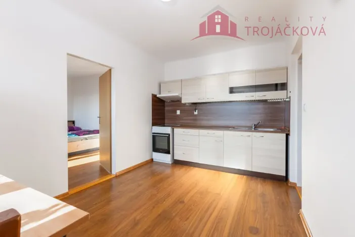 Prodej bytu 1+1, Ostrava, 48 m2