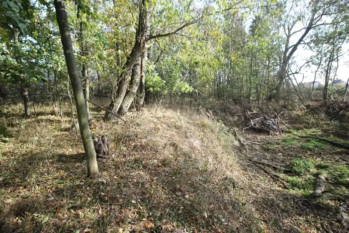 Prodej pozemku, Dolní Břežany, Keltská, 3508 m2