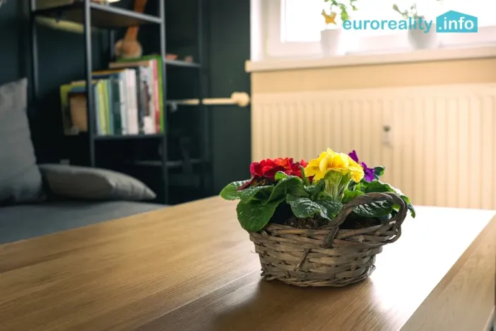 Prodej bytu 2+kk, Strakonice, U Zahrádek, 46 m2