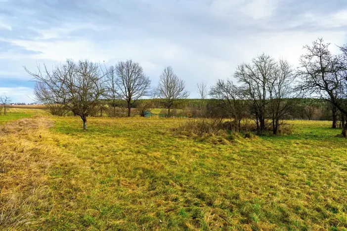 Prodej pozemku pro bydlení, Stádlec, 4550 m2