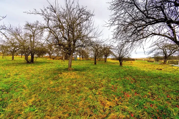 Prodej pozemku pro bydlení, Stádlec, 4550 m2