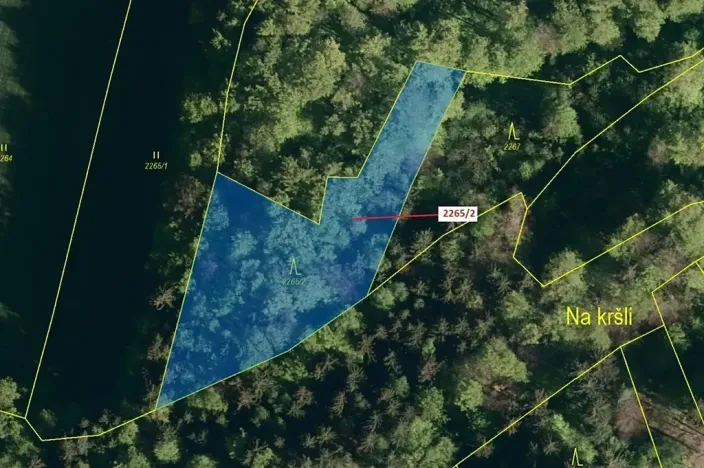 Dražba lesa, Zděchov, 2225 m2