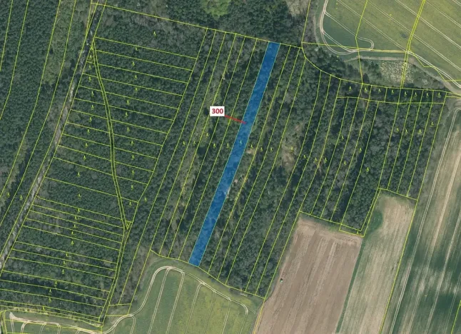 Dražba lesa, Vesce, 5196 m2