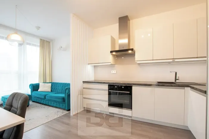 Pronájem bytu 1+kk, Beroun, Na Veselou, 44 m2