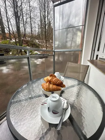 Pronájem bytu 1+kk, Jablonec nad Nisou, Erbenova, 27 m2