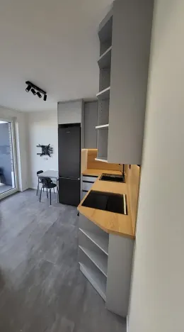 Pronájem bytu 1+kk, Praha - Třebonice, Thomasova, 29 m2