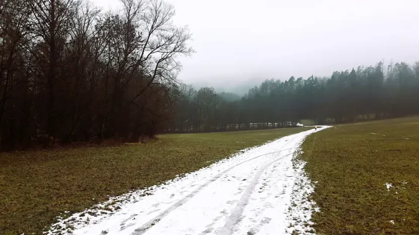 Prodej pozemku pro bydlení, Bohutín, 2926 m2