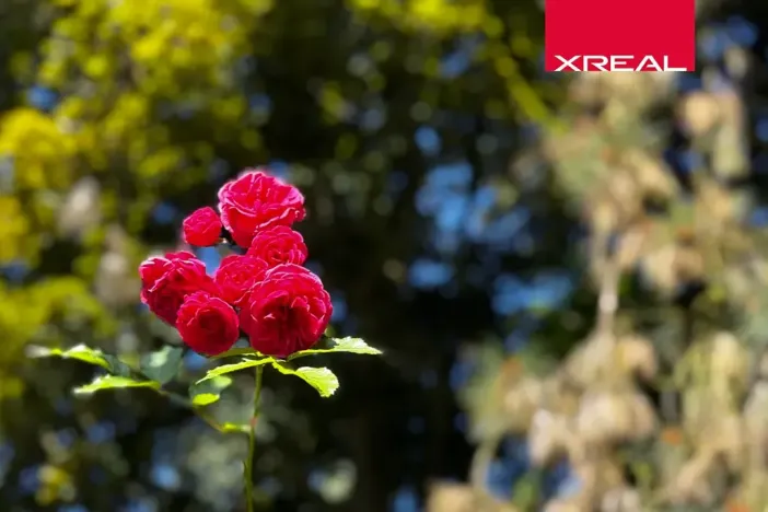 Prodej rodinného domu, Kamenice, Lomená, 157 m2