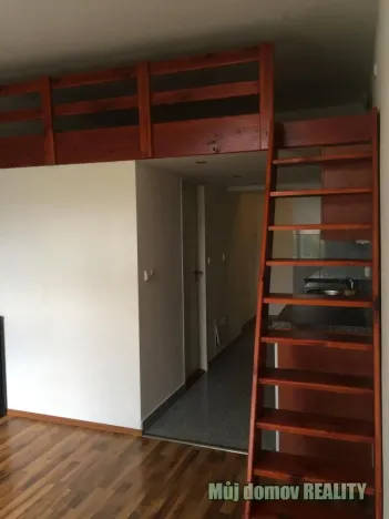 Pronájem bytu 1+kk, Praha - Vysočany, Freyova, 22 m2