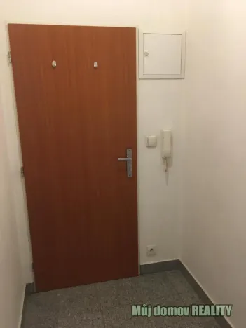 Pronájem bytu 1+kk, Praha - Vysočany, Freyova, 22 m2