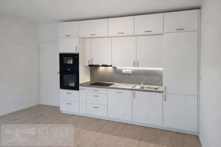 Pronájem bytu 1+kk, Brno, Auerswaldova, 32 m2