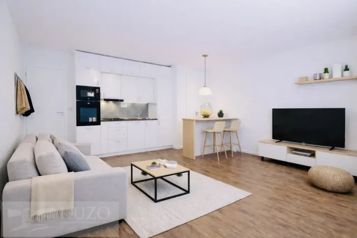 Pronájem bytu 1+kk, Brno, Auerswaldova, 32 m2