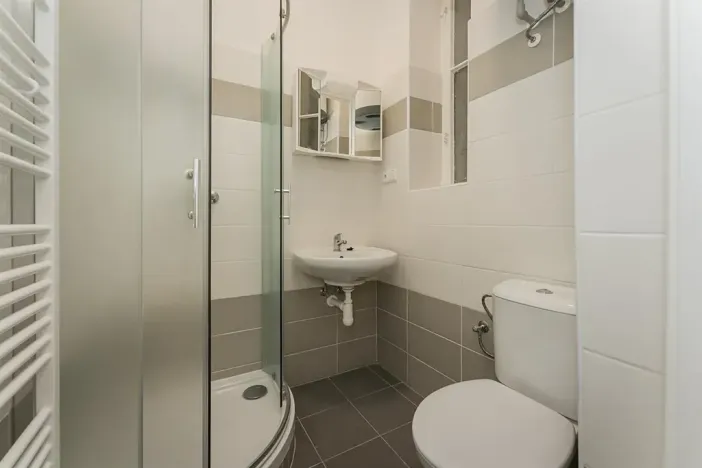 Pronájem bytu 2+kk, Praha - Vinohrady, Mánesova, 52 m2