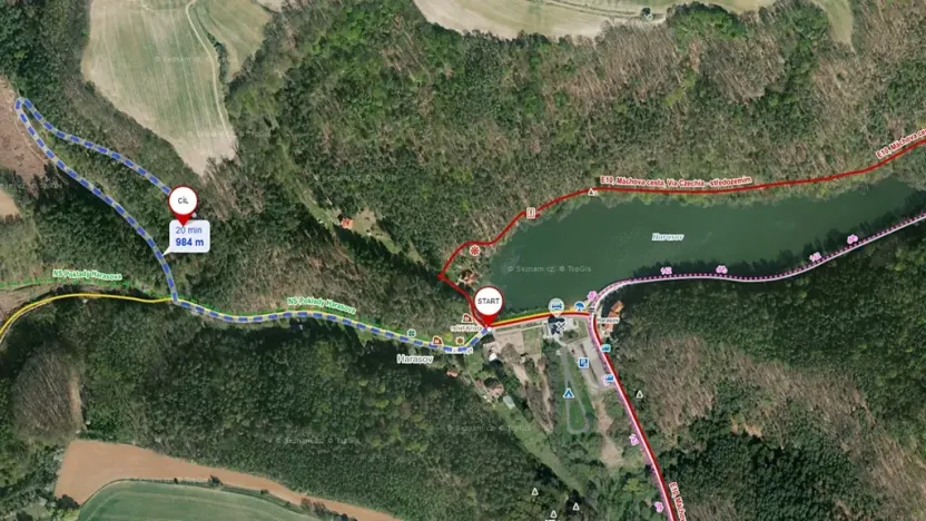 Prodej lesa, Vysoká, 12485 m2