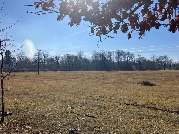 Prodej zemědělské usedlosti, Stráž nad Nežárkou, Šimanov, 2139 m2