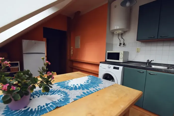 Pronájem bytu 1+1, Hradec Králové, Horova, 47 m2