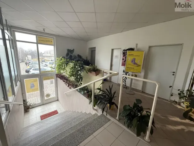 Pronájem obchodního prostoru, Most, Moskevská, 41 m2