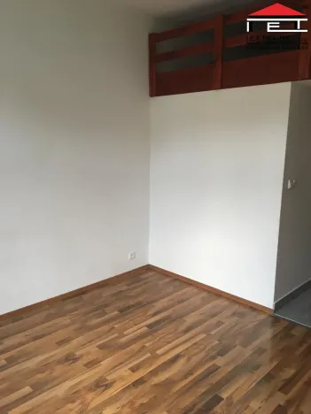 Pronájem bytu 1+kk, Praha - Vysočany, Freyova, 22 m2