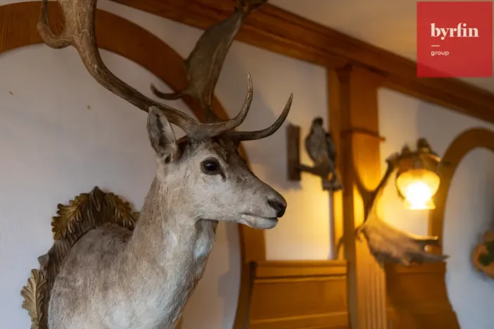 Prodej chaty, Krnov - Pod Cvilínem, V Zálesí, 820 m2