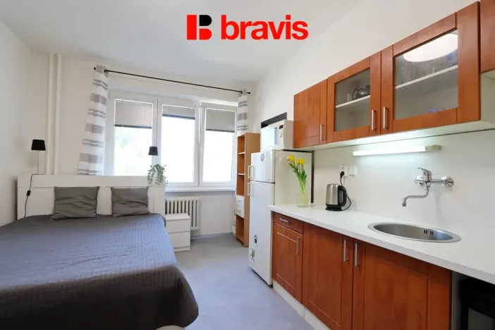 Pronájem bytu 1+kk, Brno, Leitnerova, 22 m2