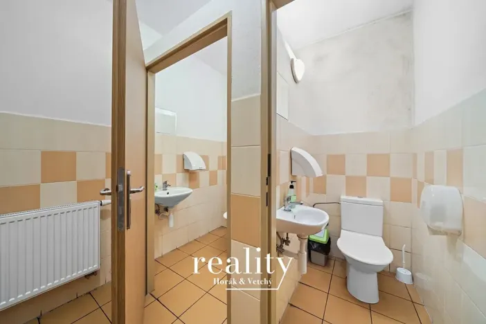 Prodej vícegeneračního domu, Dobšice, Lahoferova, 797 m2