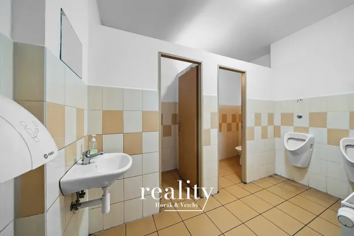 Prodej vícegeneračního domu, Dobšice, Lahoferova, 797 m2