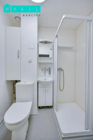 Pronájem bytu 1+kk, Olomouc - Neředín, Neředínská, 34 m2