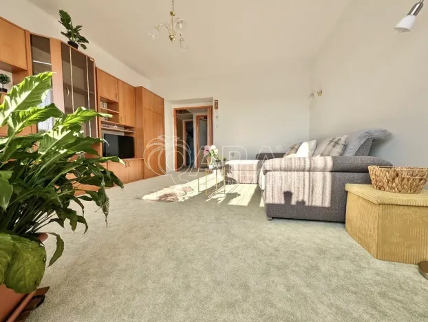 Prodej bytu 2+1, Přeštice, Červenkova, 64 m2