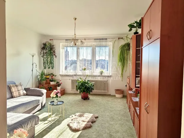 Prodej bytu 2+1, Přeštice, Červenkova, 64 m2