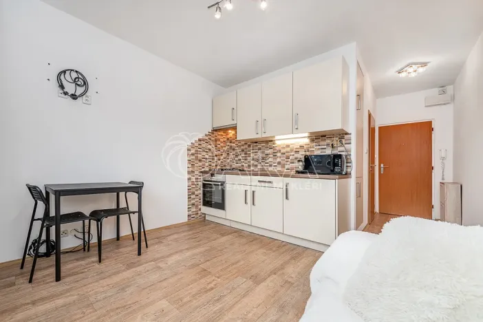 Pronájem bytu 1+1, Liberec - Liberec III-Jeřáb, Vaňurova, 37 m2