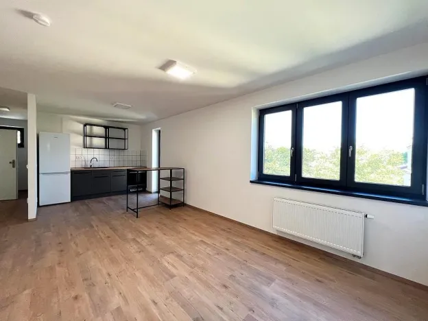 Pronájem bytu 2+kk, Brno - Štýřice, Sovinec, 53 m2