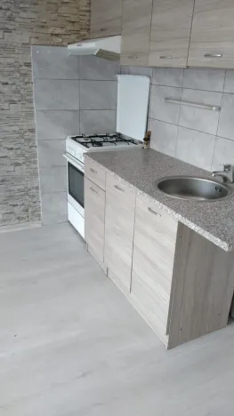 Pronájem bytu 1+1, Ústí nad Labem - Mojžíř, Jindřicha Plachty, 33 m2