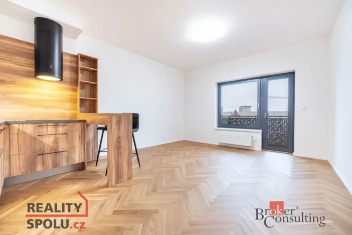 Pronájem bytu 2+kk, Brno - Staré Brno, Nové sady, 59 m2