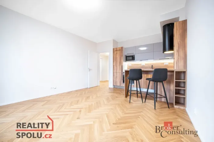 Pronájem bytu 2+kk, Brno - Staré Brno, Nové sady, 59 m2