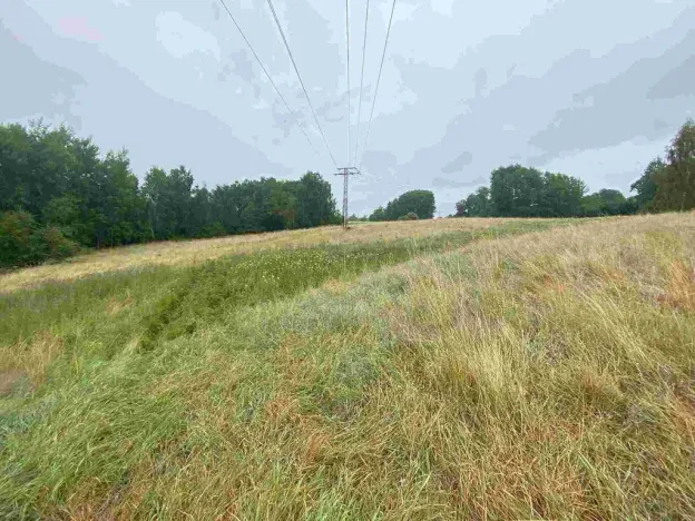 Prodej pole, Nové Sedlo - Loučky, 49321 m2