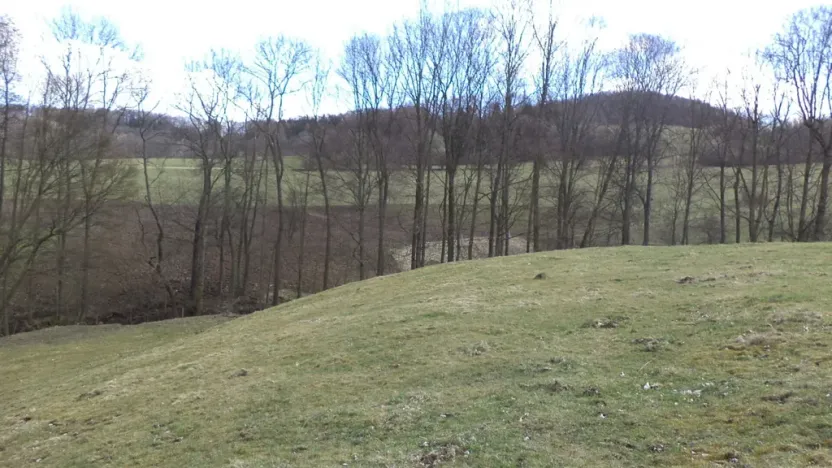 Prodej pole, Heřmanov - Fojtovice, 4633 m2