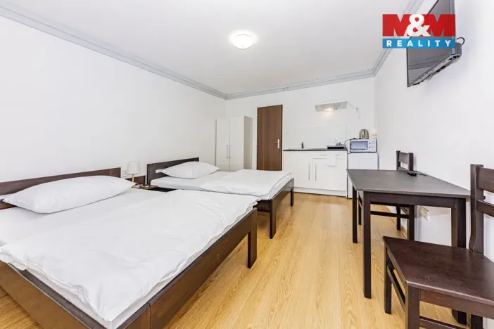 Pronájem bytu 1+kk, Čáslav - Čáslav-Nové Město, Pražská, 21 m2