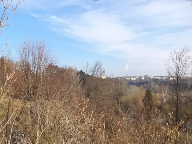 Dražba louky, Tábor, 1007 m2