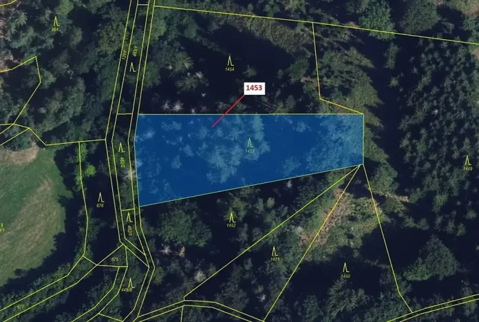 Dražba lesa, Vranová Lhota, 3122 m2