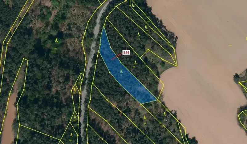 Dražba lesa, Náměšť nad Oslavou, 1796 m2