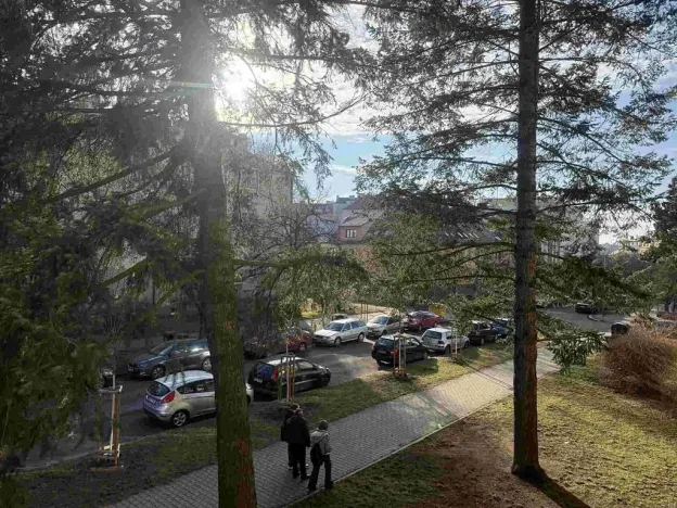 Prodej bytu 2+1, Plzeň, Suvorovova, 51 m2