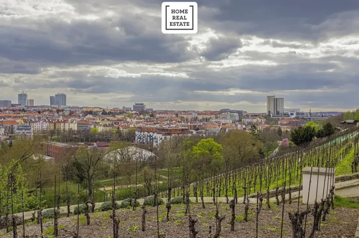 Prodej bytu 3+kk, Praha - Vršovice, Francouzská, 95 m2