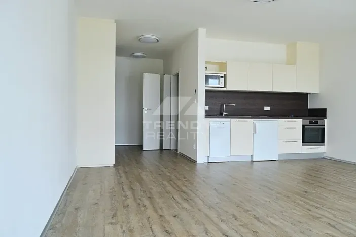 Pronájem bytu 1+kk, Plzeň, Na Roudné, 50 m2