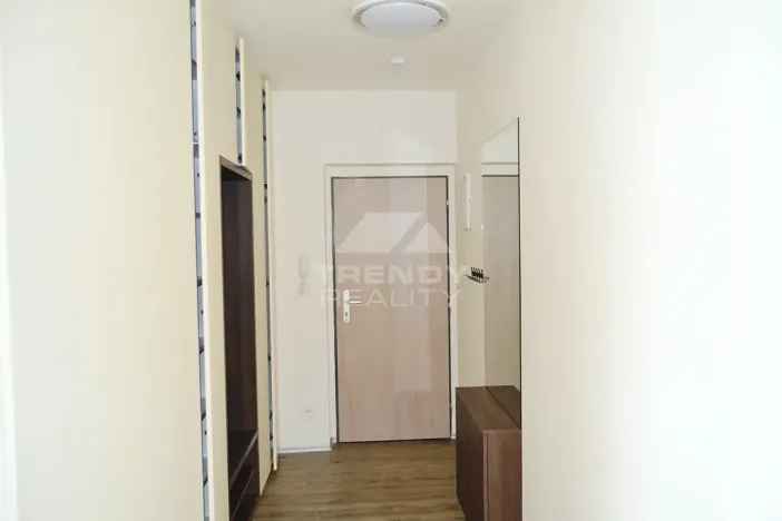 Pronájem bytu 1+kk, Plzeň, Na Roudné, 50 m2